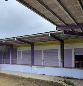 Foto annuncio 3