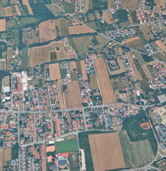 Foto annuncio 10