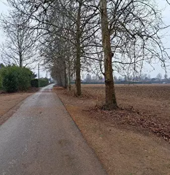 Foto annuncio 3