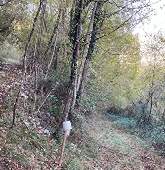 Foto annuncio 4