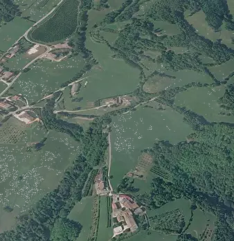 Foto annuncio 5