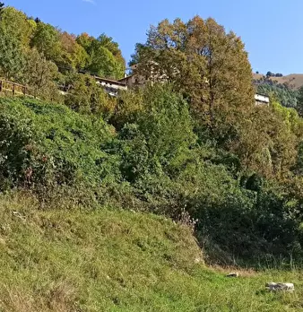 Foto annuncio 3