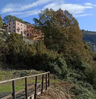Foto annuncio 4