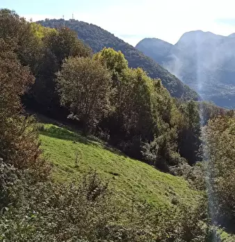 Foto annuncio 5