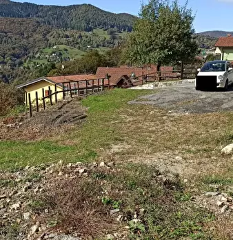 Foto annuncio 7