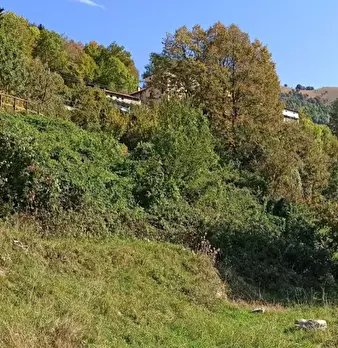 Foto annuncio 8