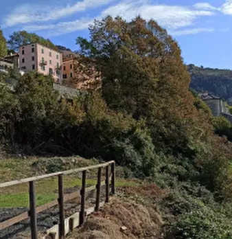 Foto annuncio 10