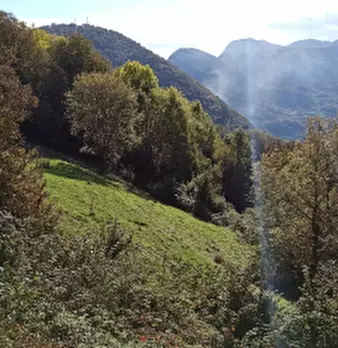 Foto annuncio 11