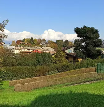 Foto annuncio 4