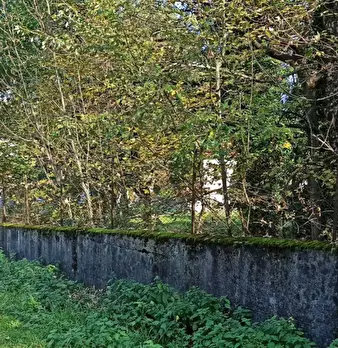 Foto annuncio 9