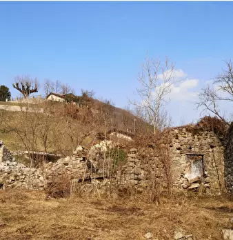 Foto annuncio 5