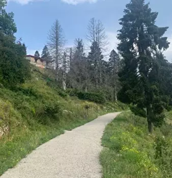 Foto annuncio 8