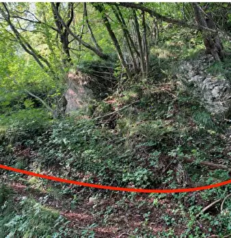 Foto annuncio 9