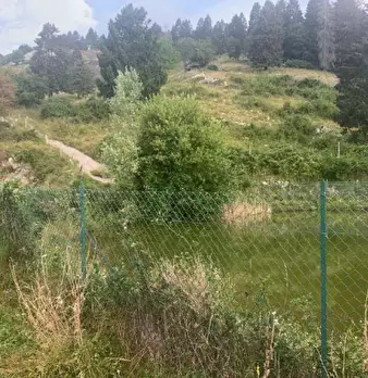 Foto annuncio 14