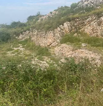 Foto annuncio 15