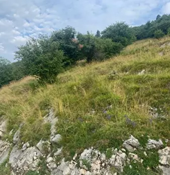 Foto annuncio 18