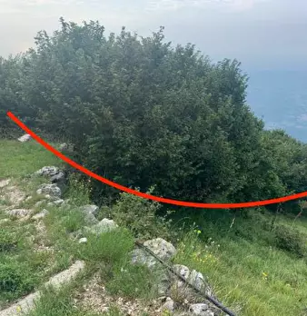 Foto annuncio 19