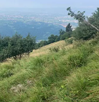 Foto annuncio 20