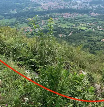 Foto annuncio 22