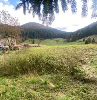 Foto annuncio 12