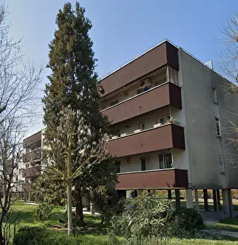 Foto annuncio 18