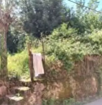 Foto annuncio 12