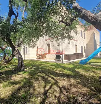 Foto annuncio 5