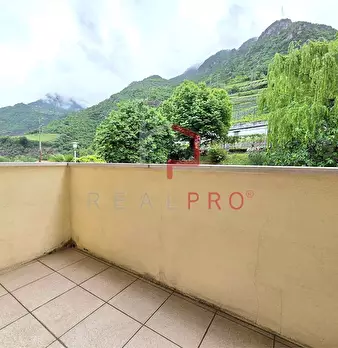 Foto annuncio 8