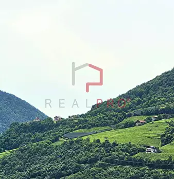 Foto annuncio 12