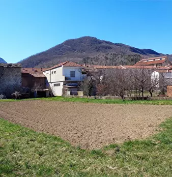 Foto annuncio 1
