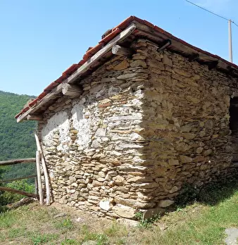 Foto annuncio 29