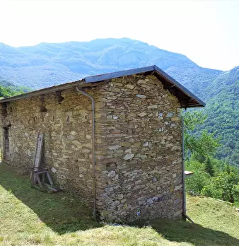 Foto annuncio 1