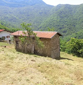 Foto annuncio 2