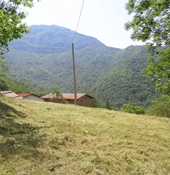 Foto annuncio 30