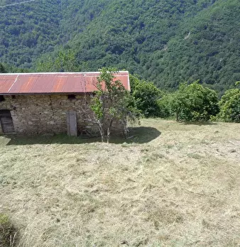 Foto annuncio 3