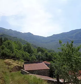 Foto annuncio 7