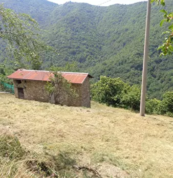 Foto annuncio 4