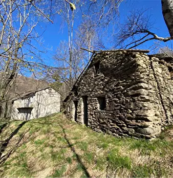 Foto annuncio 2