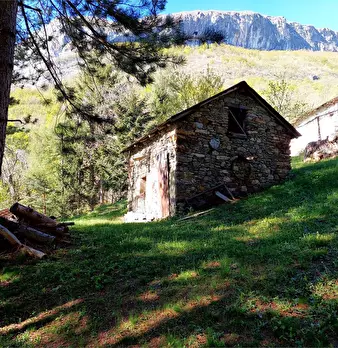 Foto annuncio 38