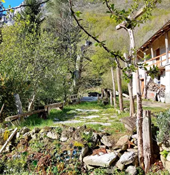 Foto annuncio 9