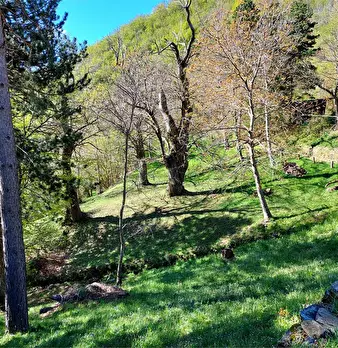 Foto annuncio 42