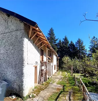 Foto annuncio 3