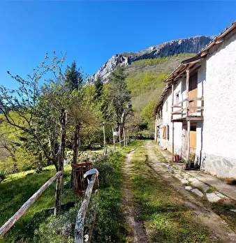 Foto annuncio 8