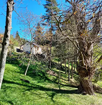 Foto annuncio 1