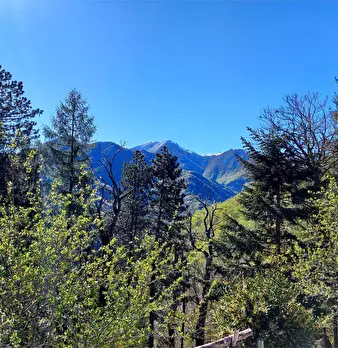 Foto annuncio 28