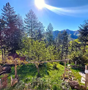 Foto annuncio 29