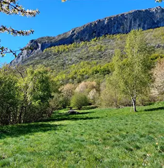 Foto annuncio 45