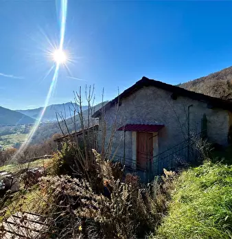 Foto annuncio 41