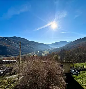 Foto annuncio 19