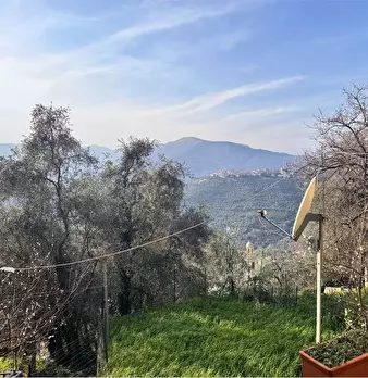 Foto annuncio 2